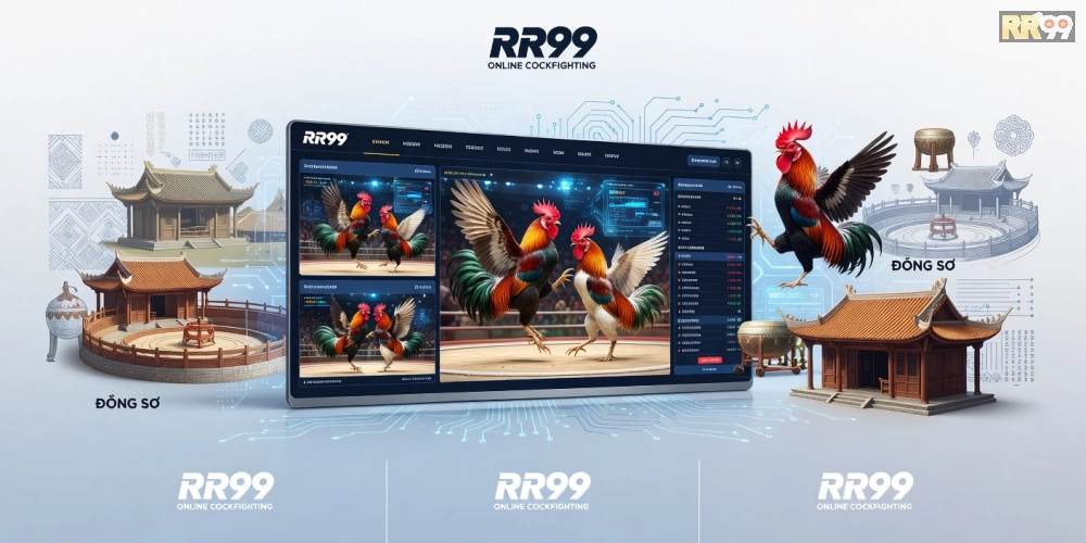Minh họa khái niệm đá gà chọi rr99 với giao diện nền tảng trực tuyến