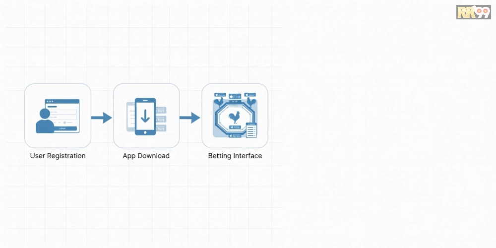 Hướng dẫn từng bước đăng ký và sử dụng đá gà chọi rr99 an toàn
